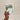 Hand holding a plantable seed paper envelope with illustrations of a birthday party scene on a beige background.