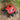 A small cast iron figurine of a ladybug with red and black colors, sitting on a wooden surface with green leaves in the background.