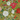 Gold background featuring flower, holly, birds, and butterflies