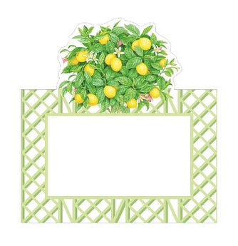 Citrus Topiary Place Cards