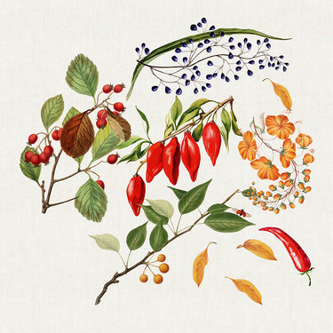 Illustration of red peppers, green leaves, and orange flowers on a white background