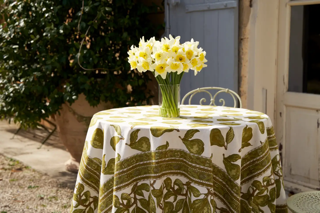 Couleur Nature - French Tablecloth Orchard Pear Green