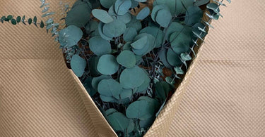 Create Timeless Beauty This Valentine’s Day with Andaluca Dried Florals