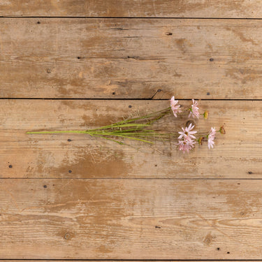 Pink Wildflower Sprig | 22.5"