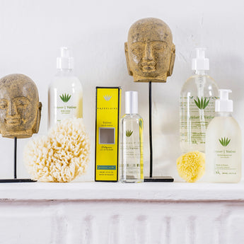 The Vetiver Collection