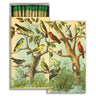 Matchbox with bird illustration on a white background
