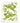 Green and white patterned cloth with rabbit design and 'Jangneus' branding