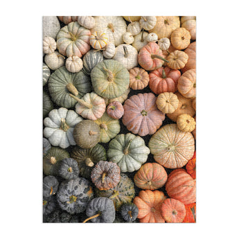 Pumpkins 1000 Piece Puzzle in Square Box