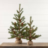 Two small potted pine trees on a wooden surface with a white wooden panel background.