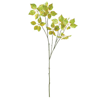 Napa Home & Garden - Variegated Leaf Branch 43"