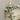 6’ Dogwood Garland