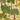 A square fabric or wallpaper swatch featuring a woodland pattern with green trees, brown deer, and a beige background with a subtle polka dot texture.
