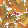 Leaves in oranges, yellows, and red on white background
