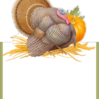 Thanksgiving Harvest Place Cards by Caspari