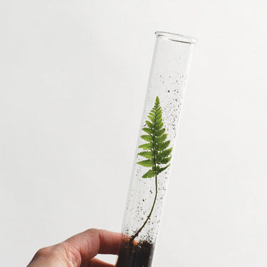 Sea Wilds Pencil Terrarium