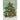 Hester & Cook - Stationery - Trim The Tree Card