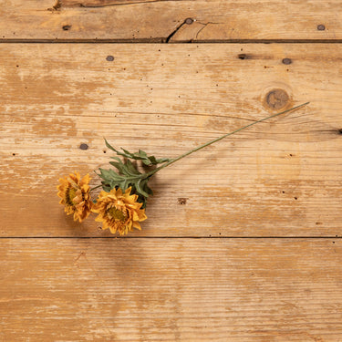 10.5” Golden Yellow Strawflower Artificial Floral Pick