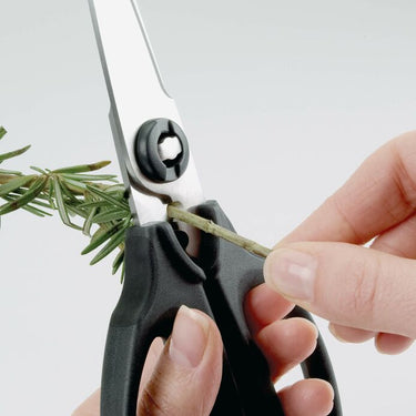 Kitchen & Herb Scissors